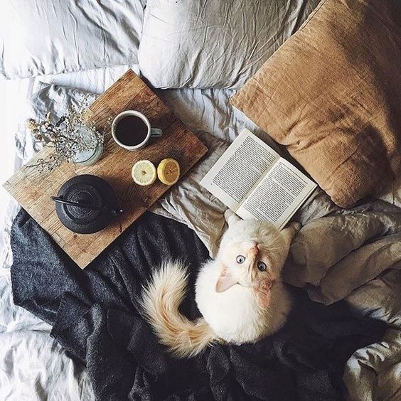 Издательство «Эксмо» дарит книги тем, кто соблюдает карантин